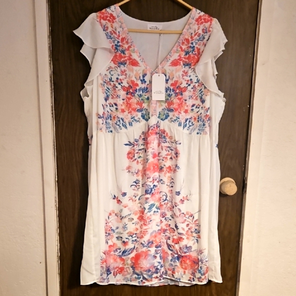 NWT Emily Wonder Babydoll Dress - Picture 1 of 5